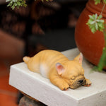 Statue Bouledogue pour Jardin